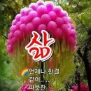 투명한 하루