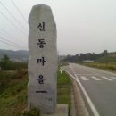 나무작은도서관 이미지