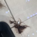 파초미용실