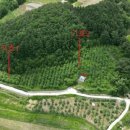 신구리농장 이미지