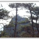 송월목장 이미지