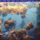 목포해물탕 이미지