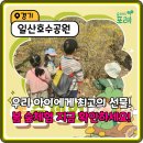 푸른숲유치원 | 지루한 실내활동 끝! 숲파티포레 일산 숲체험, 우리 아이 자연 학습 완벽 분석