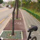 자전거도로 이미지