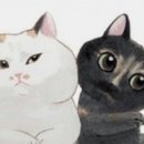 경북반려동물장례식장 이미지