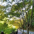 힐링랜드버스주차장 화장실 이미지