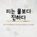 진하다 이미지