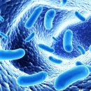 영양공인중개사사무소 이미지