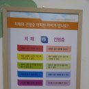 대한삼쾌교육원
