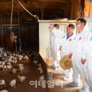 이진철농장 이미지