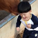 민형축사 이미지