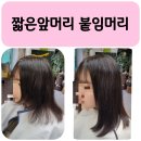 머리엔머리