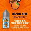 메가후르츠(MEGA FRUITS) | 얼죽아파 무조건 만족! '메가킥 액상' 4종 솔직 후기 (부산전자담배가게게)