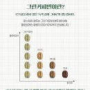 신진그린 이미지