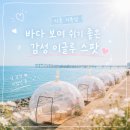 시흥 거북섬 바다뷰 노을 아니어도 예뻤던 이글루 포토존 후기