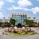 도안동로 이미지