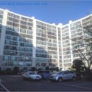 완월동218 이미지