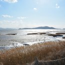 단양읍 상진리 어린이 교통공원 | [2026년] 단양 여행 2박3일 코스 총정리 (명소·맛집·숙박·예산 완벽 가이드)