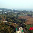 (주)제주속으로 이미지