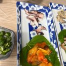 포항 양덕 회 맛집 양덕 회수산 | 스끼다시 최강 | 솔직 후기