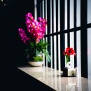 시민의 행정사 사무소 이미지