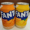 중화마을 | 안양 동편마을 맛집 부엌간 차이니즈 안양점, 유럽 감성 중화요리 가족외식 후기