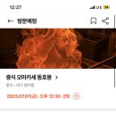 동호몽