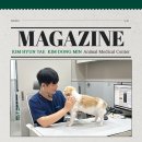 김현태김동민 동물의료센터 이미지