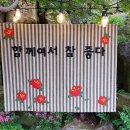 성짓골도서관 이미지