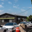 양이식당 이미지