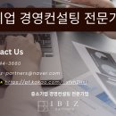 아이비즈파트너스