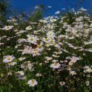 청천공원 이미지