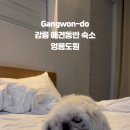 멍펜션12 이미지