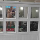 청석탕 Daum카페