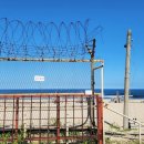 제진역 PLZ음악회 이미지