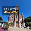 우리농 - 광주시 오포로859번길 18 | [인천] 답동성당 후기 | 처음 가 본 곳인데 낯설지 않았던 이유