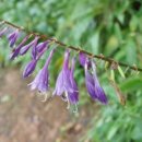 제이드팰리스 골프클럽 이미지