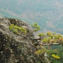 지리산순이네흙집민박 이미지