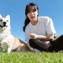 테다