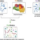 포시즌스요양병원 이미지