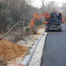 명품 벚꽃 길 이미지