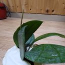 털보네농장 이미지