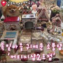 커티지샵