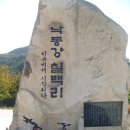 새재ㆍ낙동강자전거길 네이버블로그