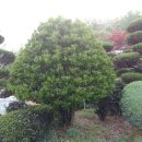 운림골농원 이미지