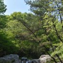 대청 계곡길 이미지