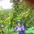 은상농장 이미지