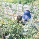 기정농장 이미지