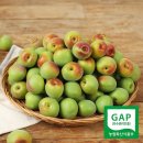 광양매화골농원 영농조합법인 이미지