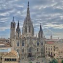 5246 | [스페인] 혼자 떠난 무계획 바르셀로나 여행 14 (+라치나타, 콜론호텔루프탑, 에어프리미아 기내식)